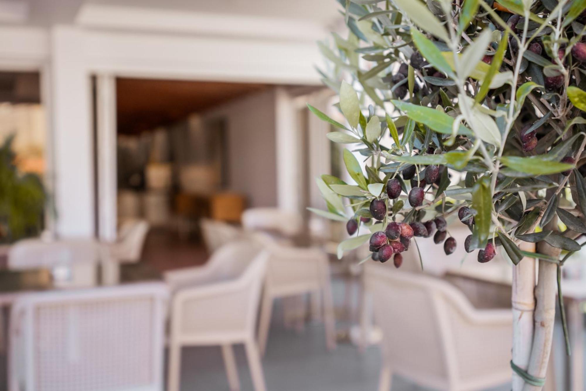 Paul Marie Hotel Apartments Ayia Napa Bagian luar foto